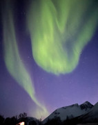 Polarlicht Tromsø